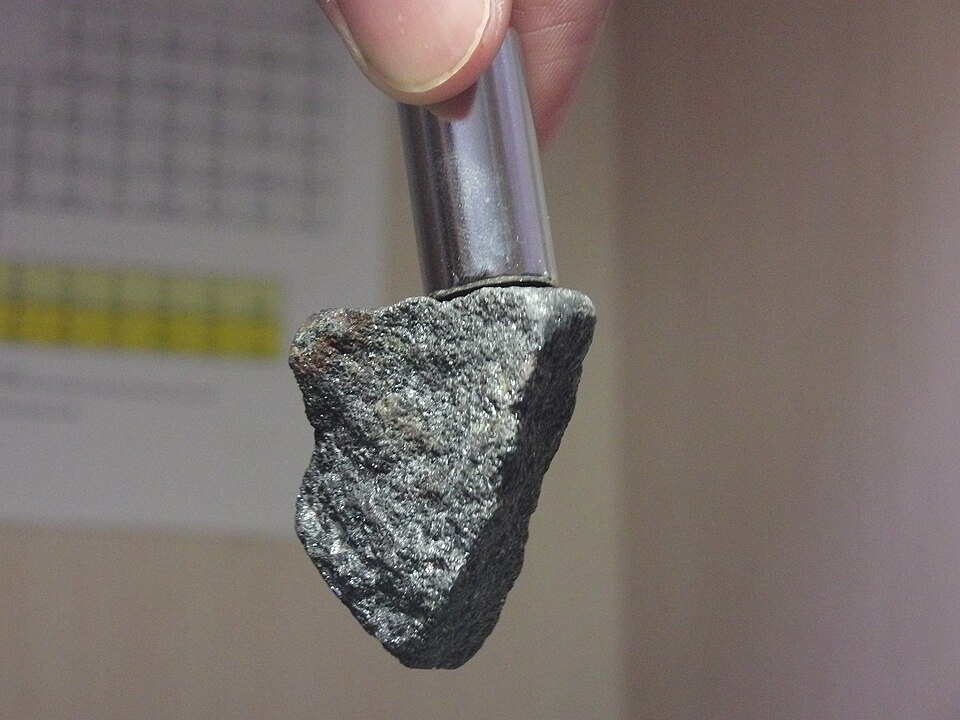 Magnet